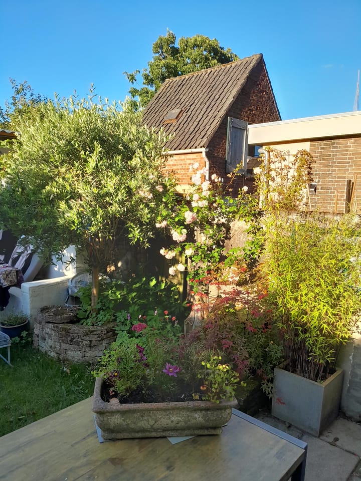 Foto 30 van Koningsweg 248