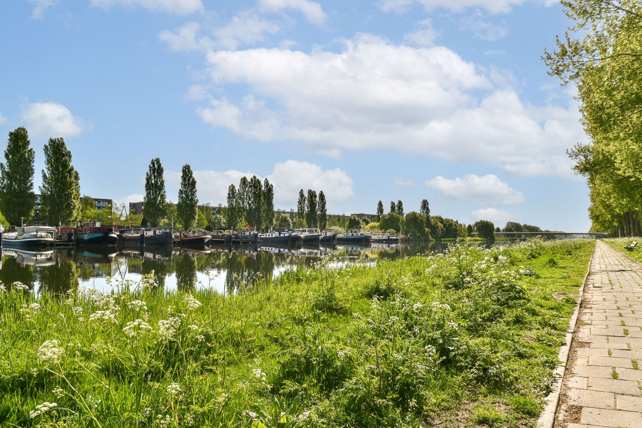 Foto 27 van Aardbeienstraat 3