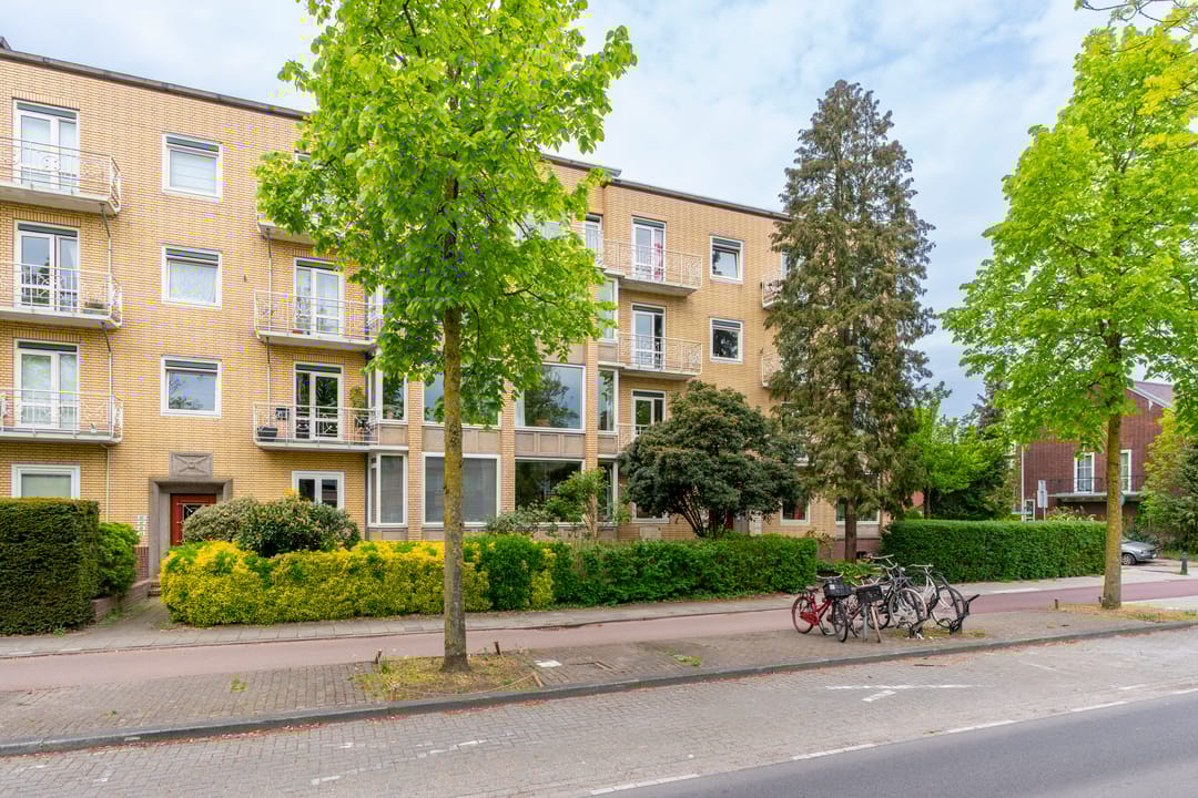 Photo 1 of Joseph Haydnlaan 50-1