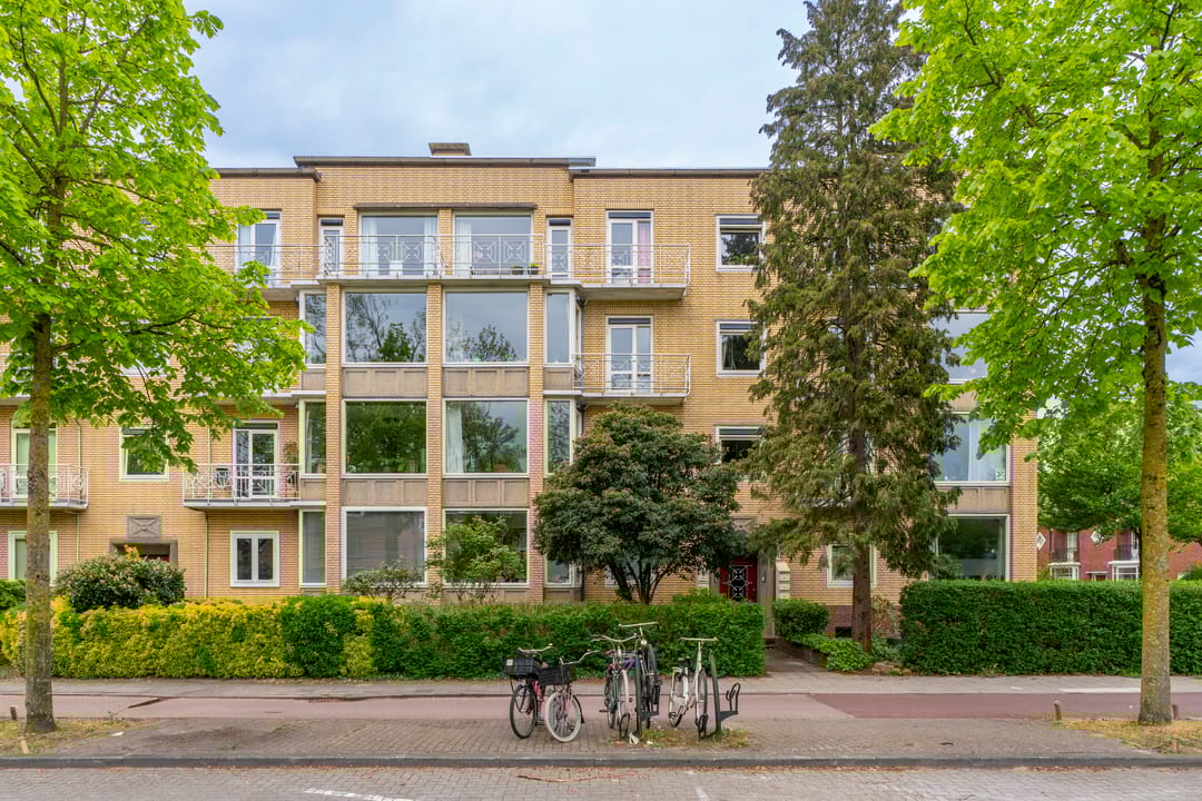 Photo 7 of Joseph Haydnlaan 50-1