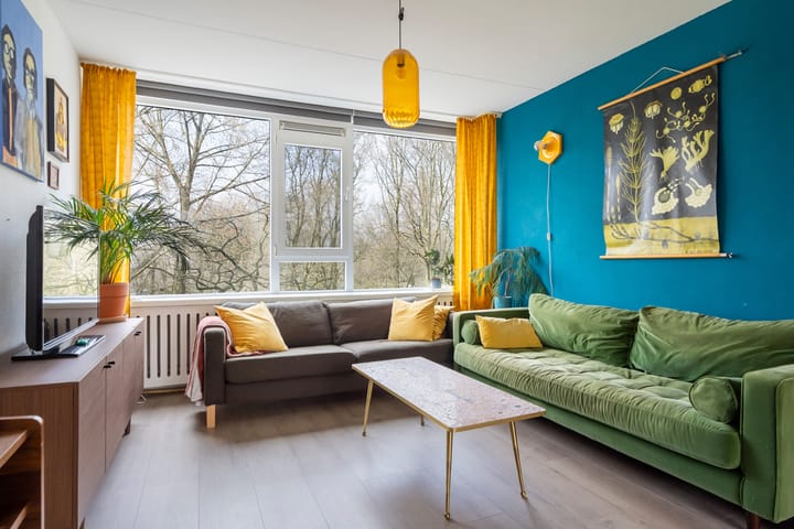 Foto 6 van Dommeringdreef 225