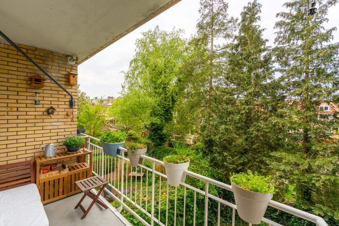 Photo 31 of Joseph Haydnlaan 50-1