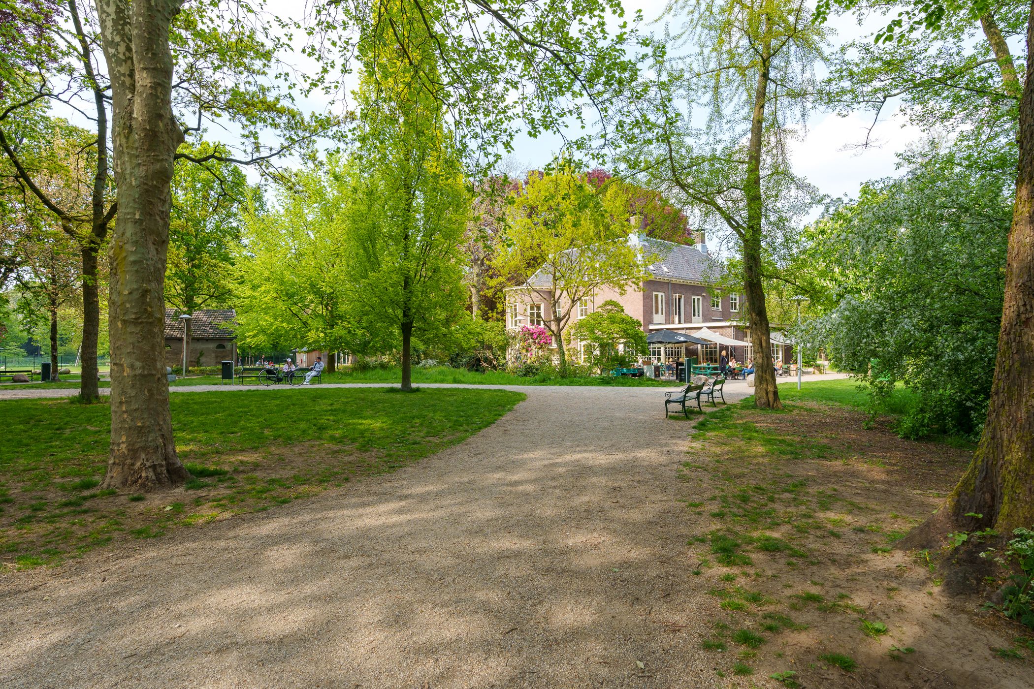 Photo 48 of Joseph Haydnlaan 50-1