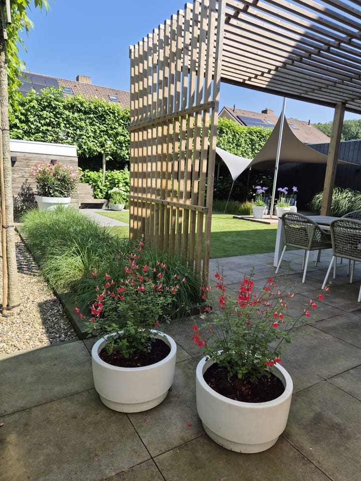 Foto 37 van Daalplein 7