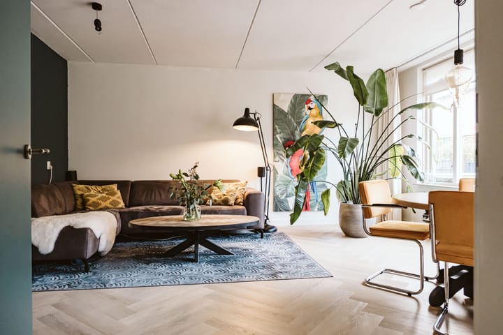 Foto 2 van Laan van Dick Laan 33