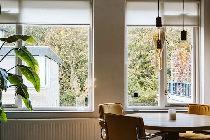 Foto 5 van Laan van Dick Laan 33