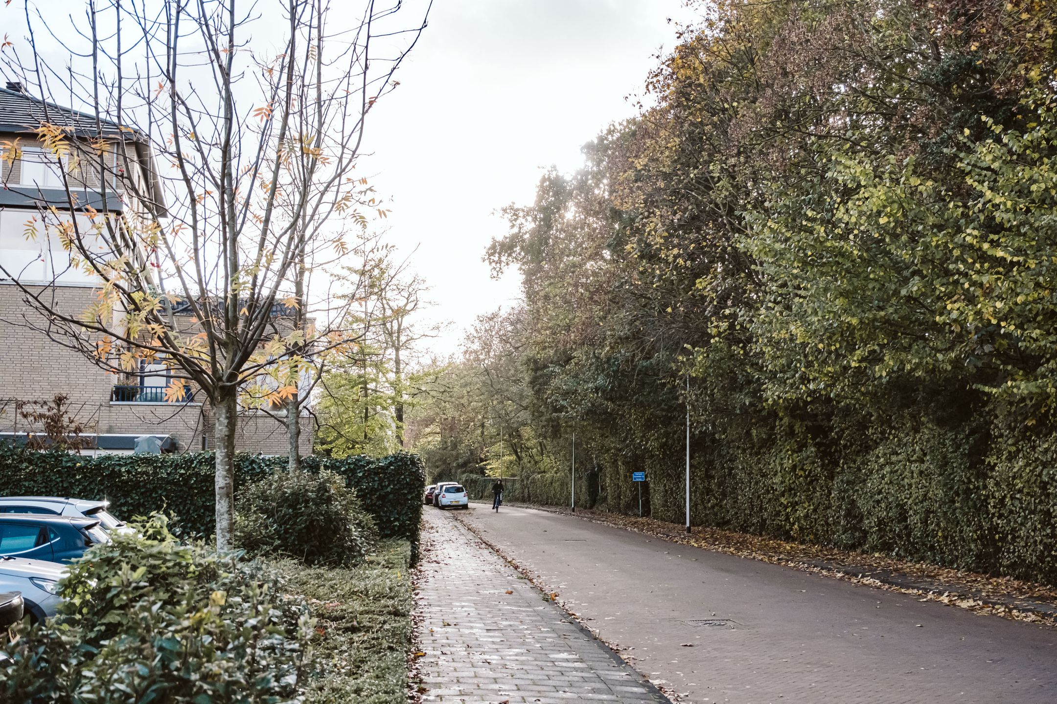 Photo 27 of Laan van Dick Laan 33