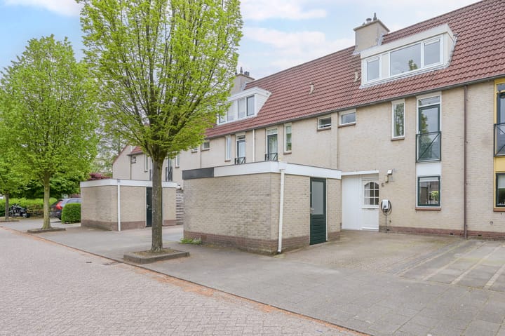 Foto 1 van Glaskruid 6