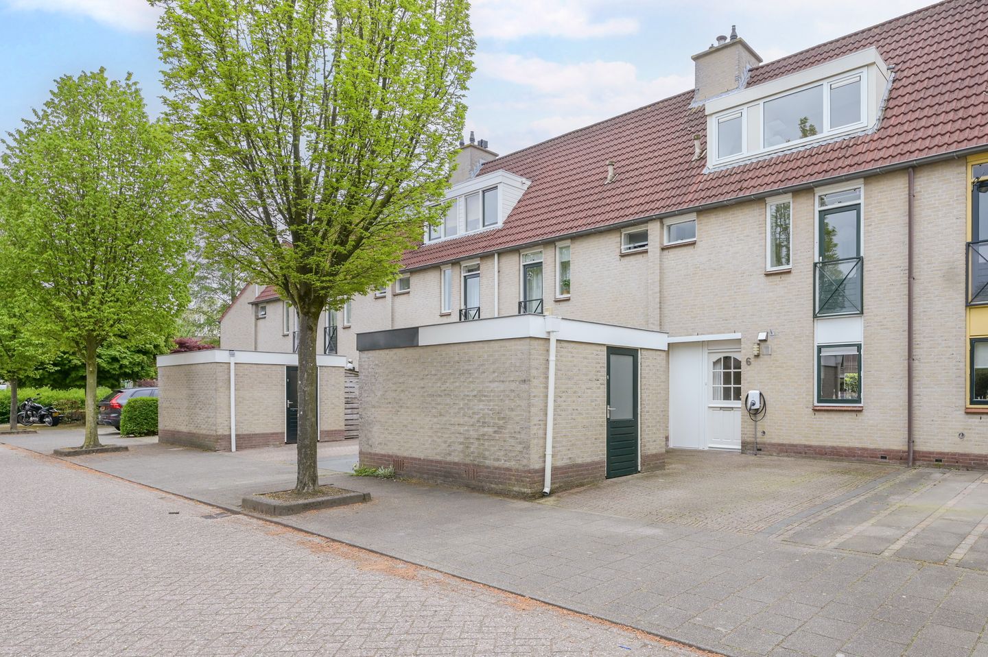 Foto 1 van Glaskruid 6