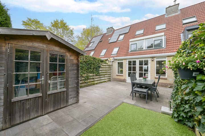 Foto 2 van Glaskruid 6