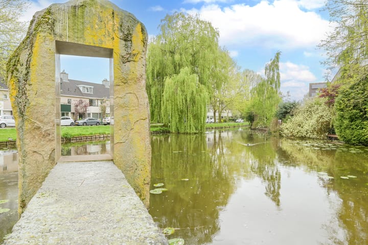 Foto 3 van Glaskruid 6