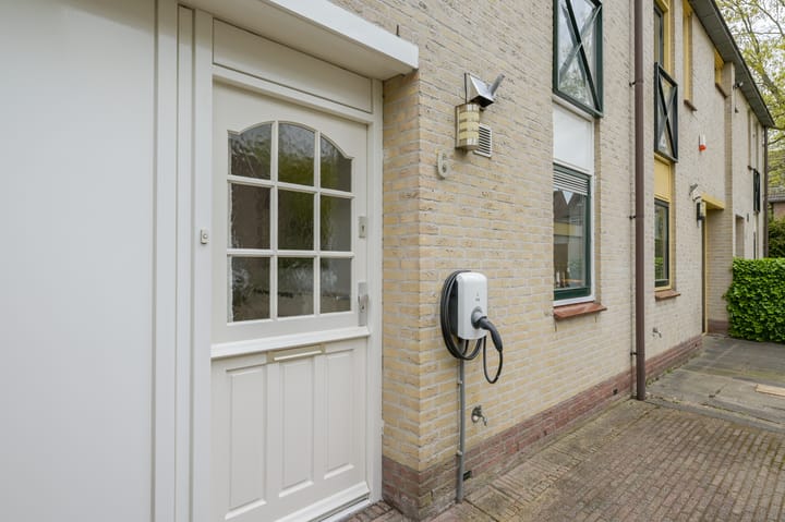 Foto 4 van Glaskruid 6