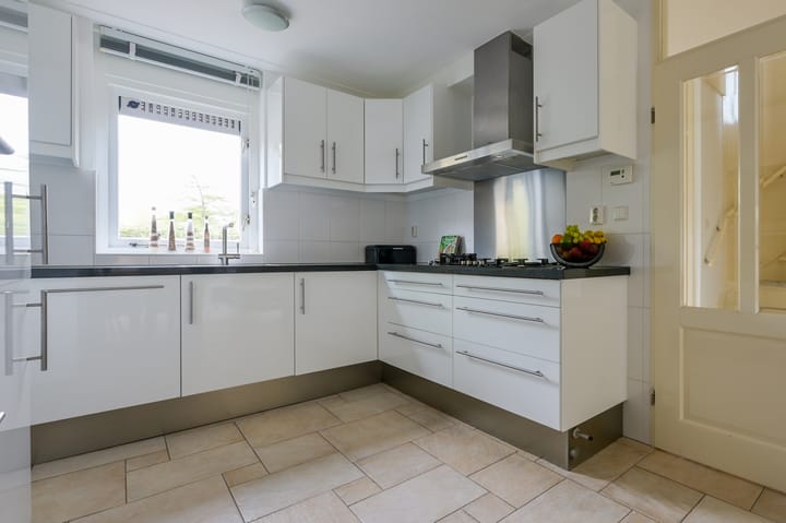 Foto 14 van Glaskruid 6