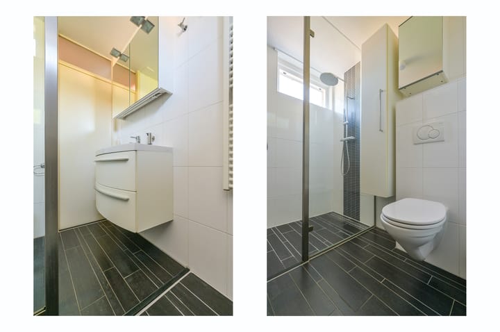 Foto 19 van Glaskruid 6