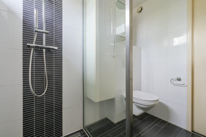 Foto 20 van Glaskruid 6