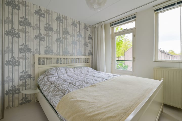 Foto 24 van Glaskruid 6