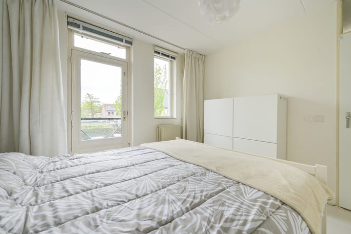 Foto 25 van Glaskruid 6