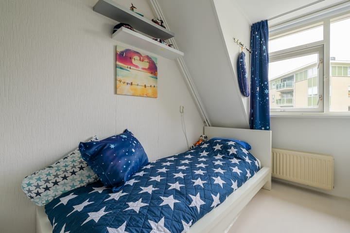 Foto 27 van Glaskruid 6