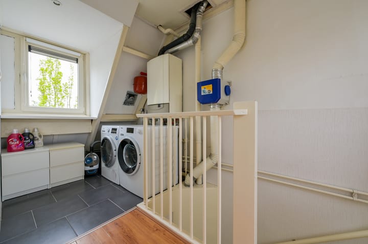 Foto 30 van Glaskruid 6