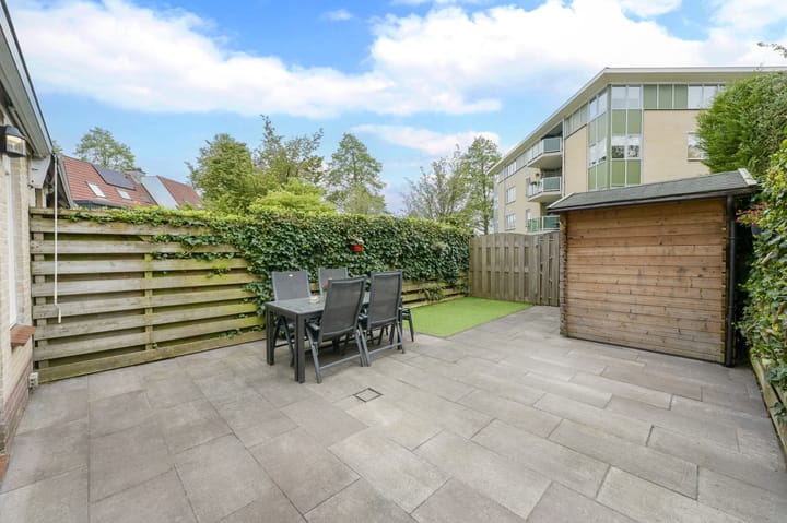 Foto 35 van Glaskruid 6