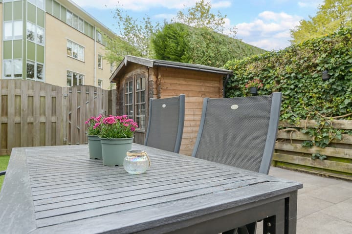 Foto 34 van Glaskruid 6