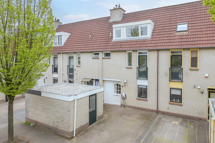 Foto 38 van Glaskruid 6