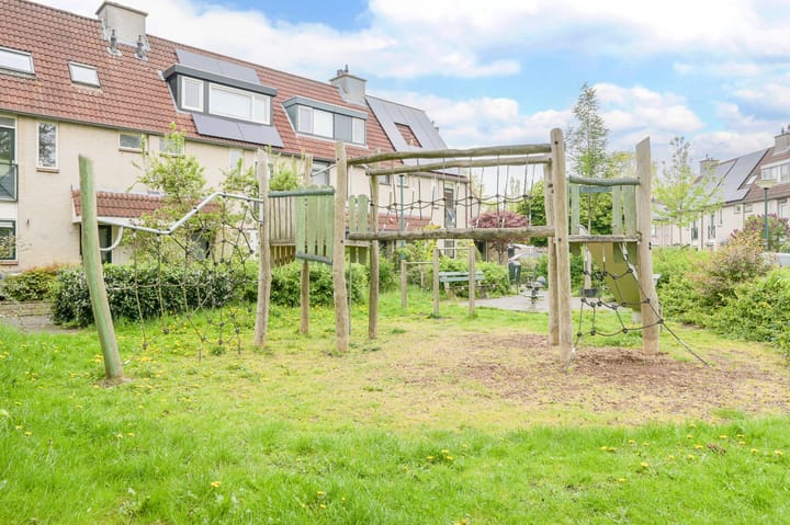 Foto 39 van Glaskruid 6