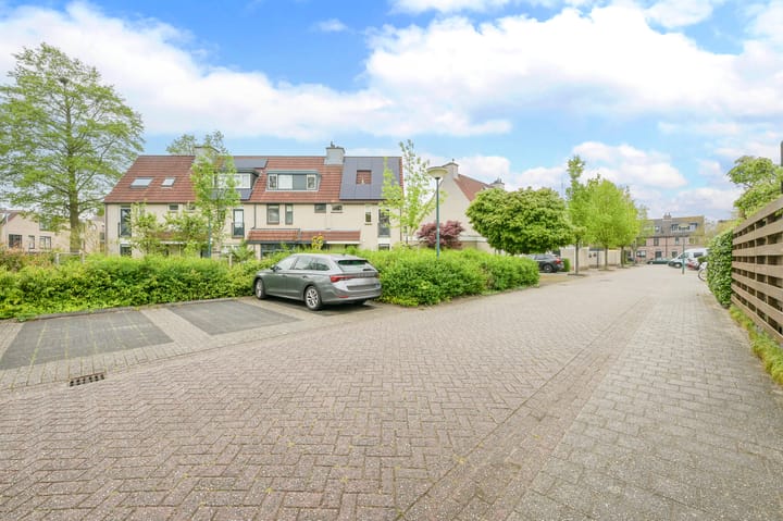 Foto 40 van Glaskruid 6