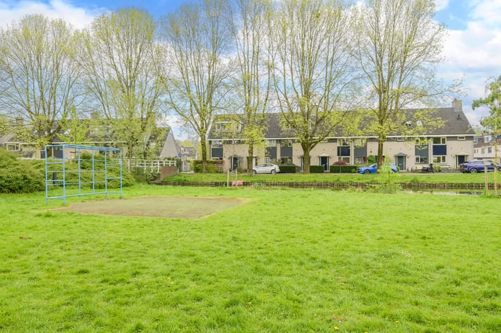 Foto 41 van Glaskruid 6