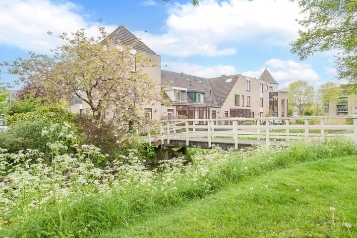 Foto 37 van Glaskruid 6