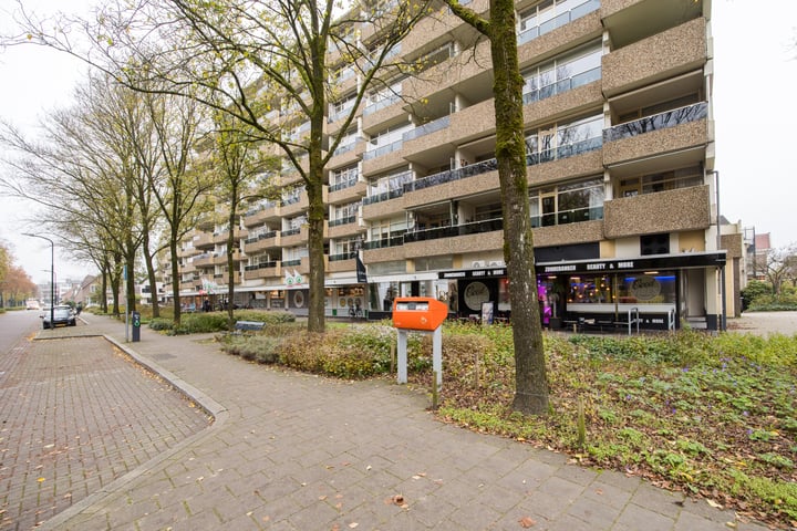 Koning Lodewijklaan 152, Apeldoorn
