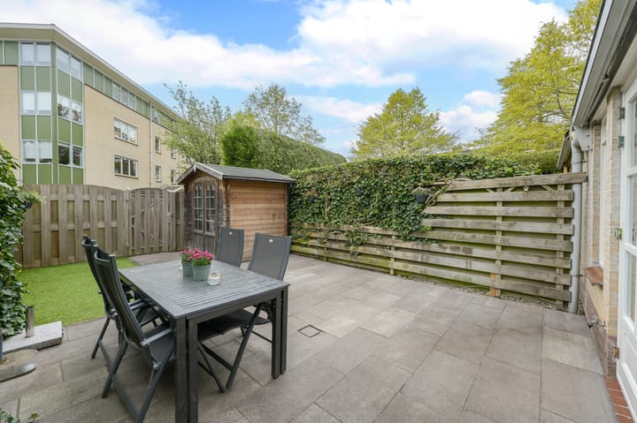 Foto 36 van Glaskruid 6