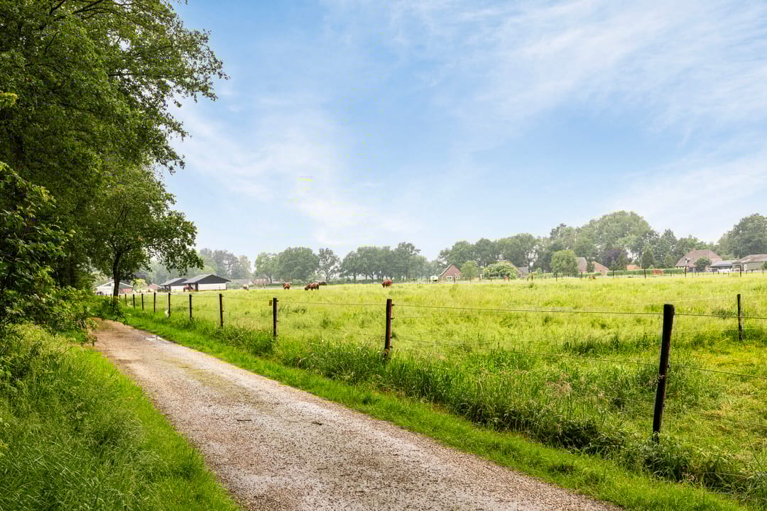 Foto 16 van Bosrand | 23