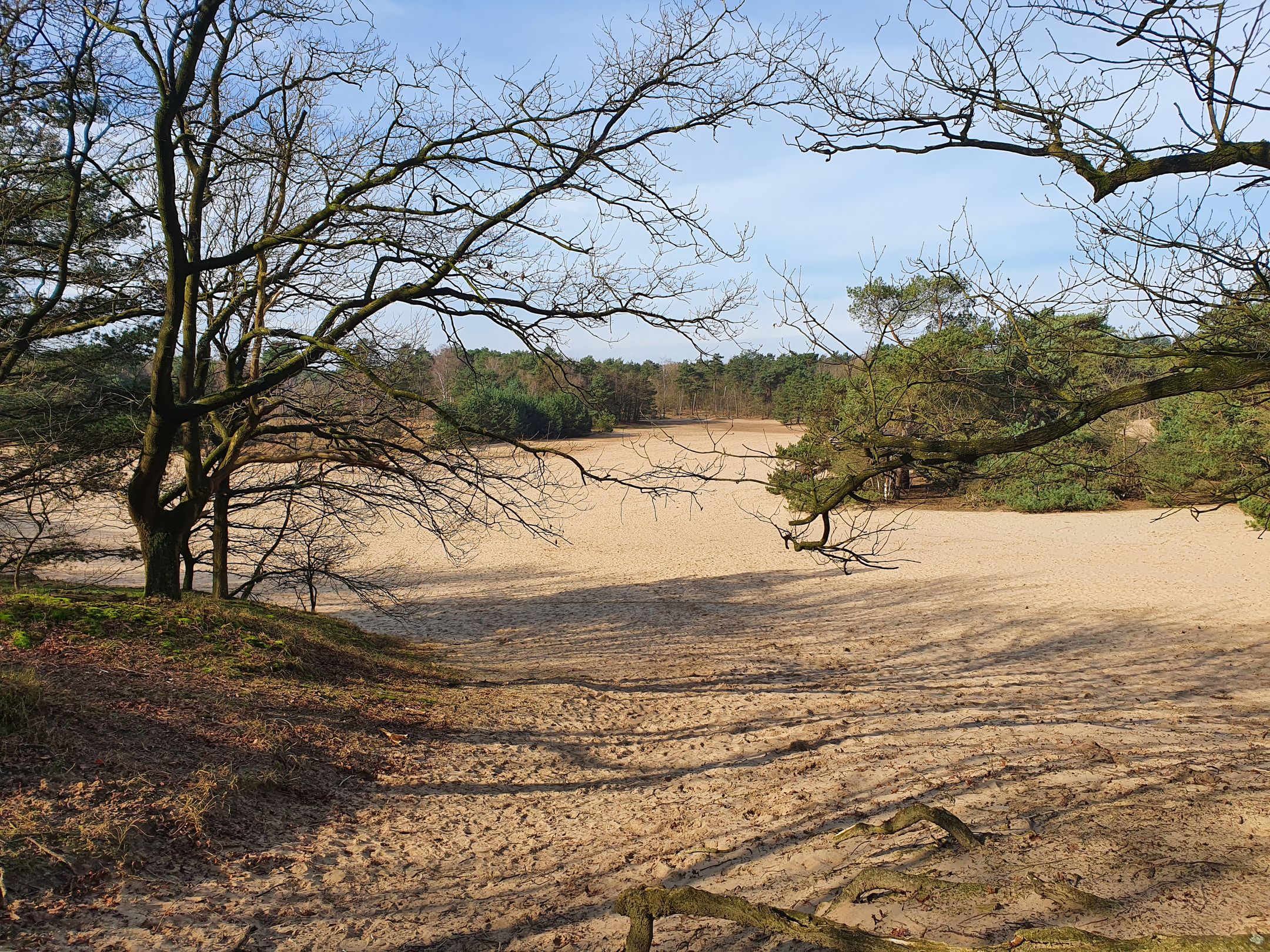 Foto 18 van Bosrand | 23