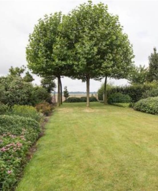 Foto 48 van Dr. Lemmenstraat 15