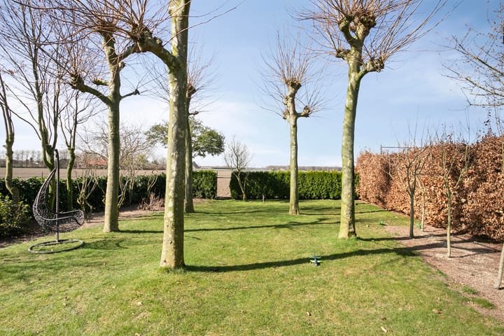 Foto 52 van Dr. Lemmenstraat 15