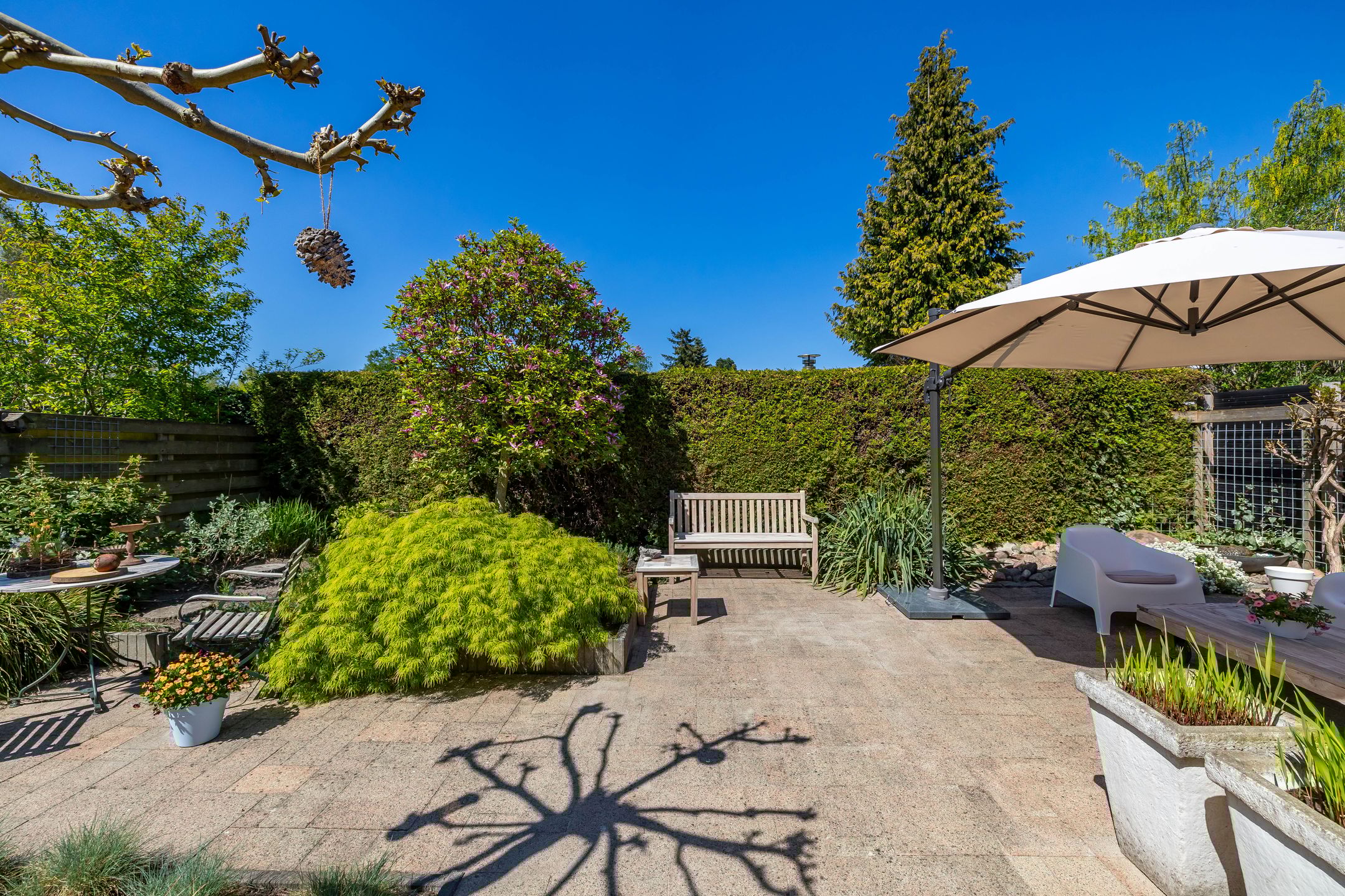 Foto 3 van C. Pothuisstraat 38