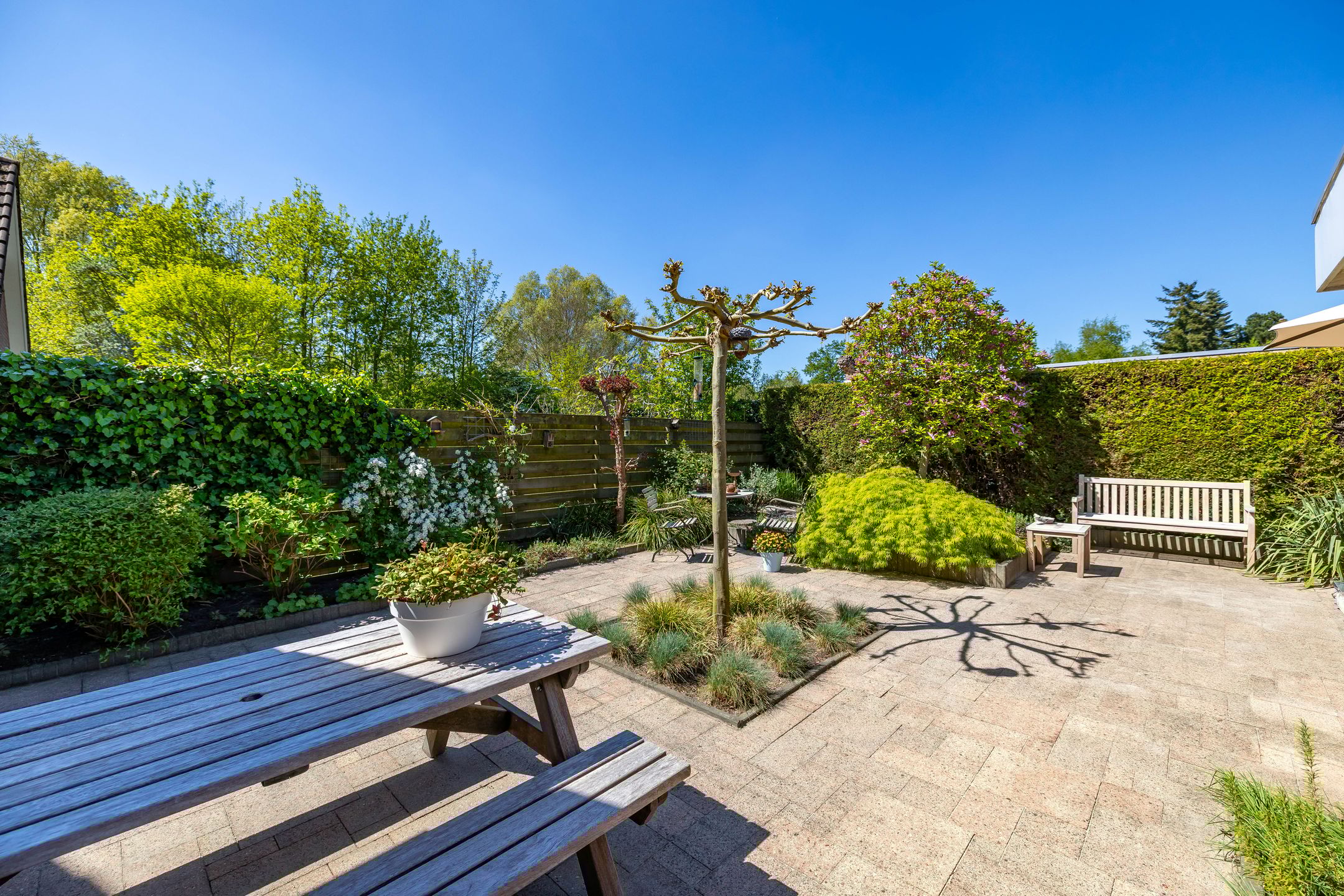 Foto 42 van C. Pothuisstraat 38