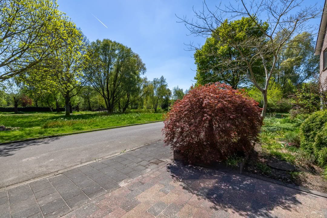 Foto 47 van C. Pothuisstraat 38