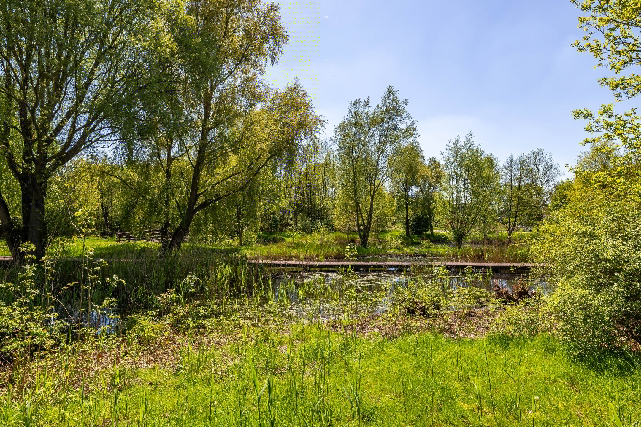 Foto 48 van C. Pothuisstraat 38