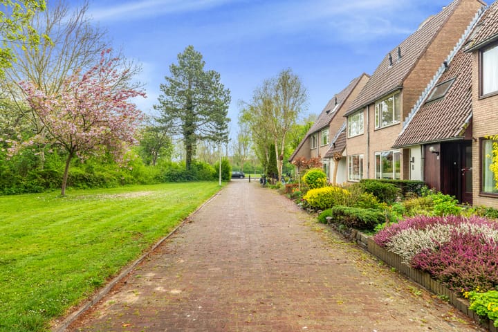 Foto 5 van Vleugeltjesbloem 16