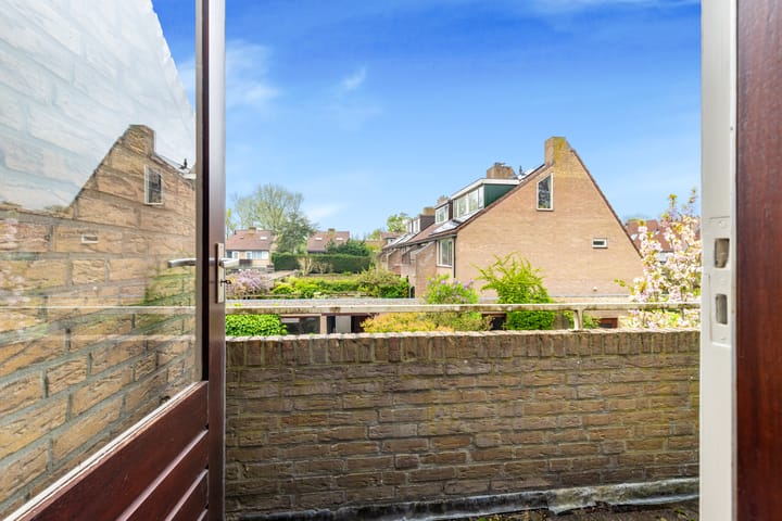 Foto 28 van Vleugeltjesbloem 16