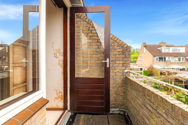 Foto 29 van Vleugeltjesbloem 16