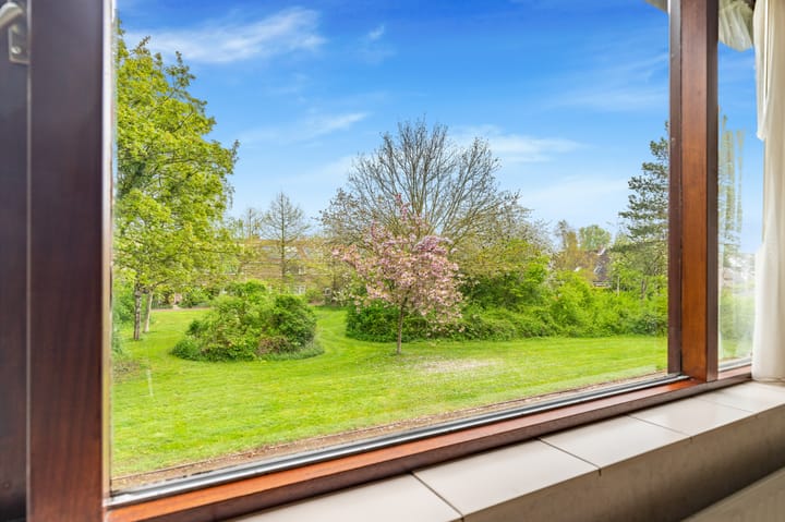 Foto 31 van Vleugeltjesbloem 16