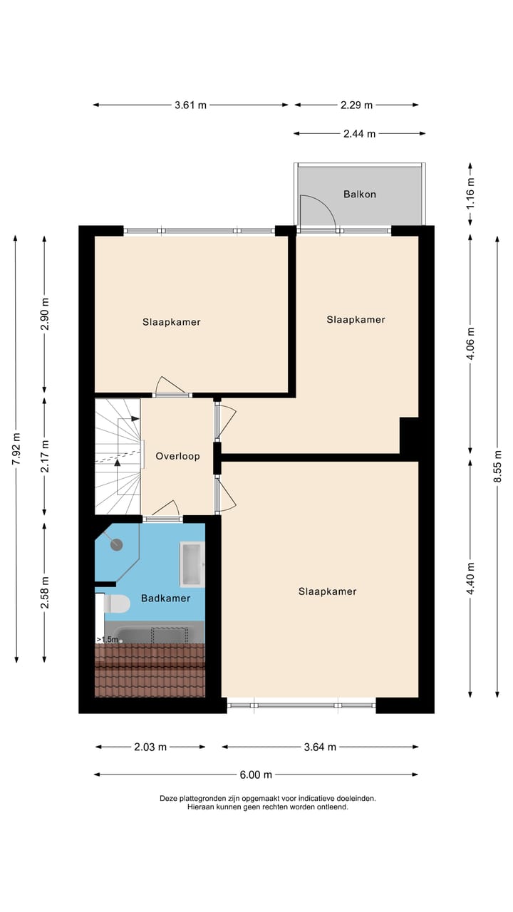 Foto 35 van Vleugeltjesbloem 16