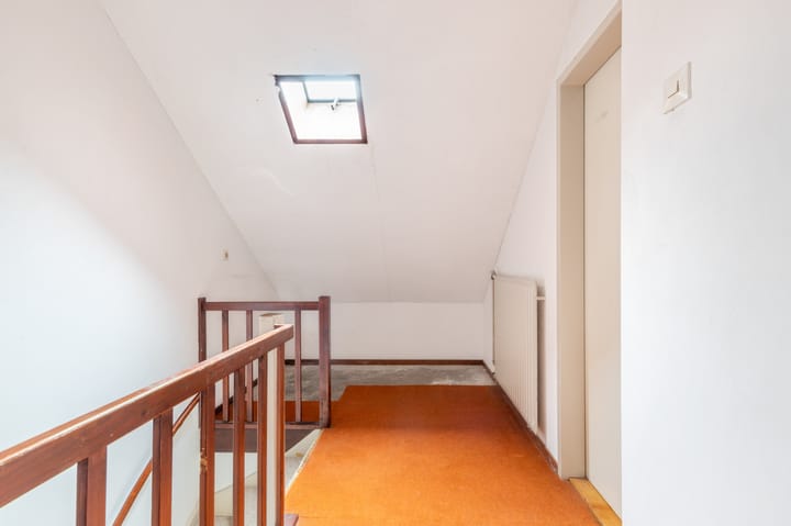 Foto 36 van Vleugeltjesbloem 16