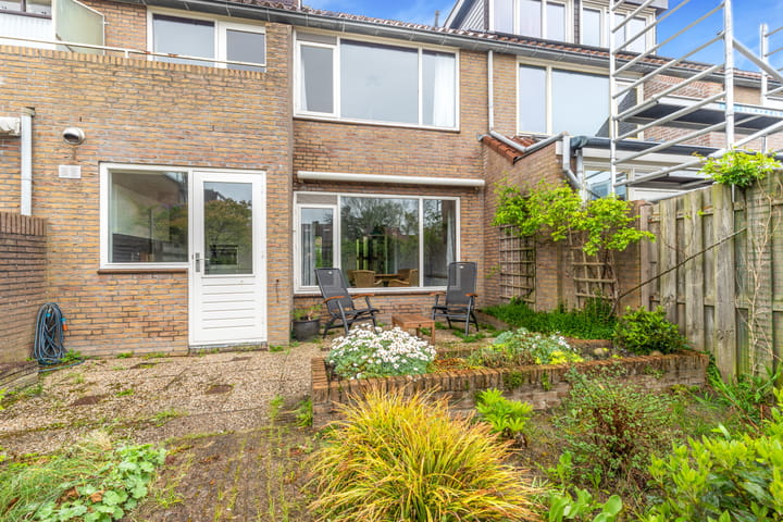 Foto 41 van Vleugeltjesbloem 16