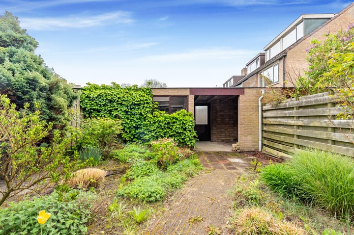 Foto 44 van Vleugeltjesbloem 16