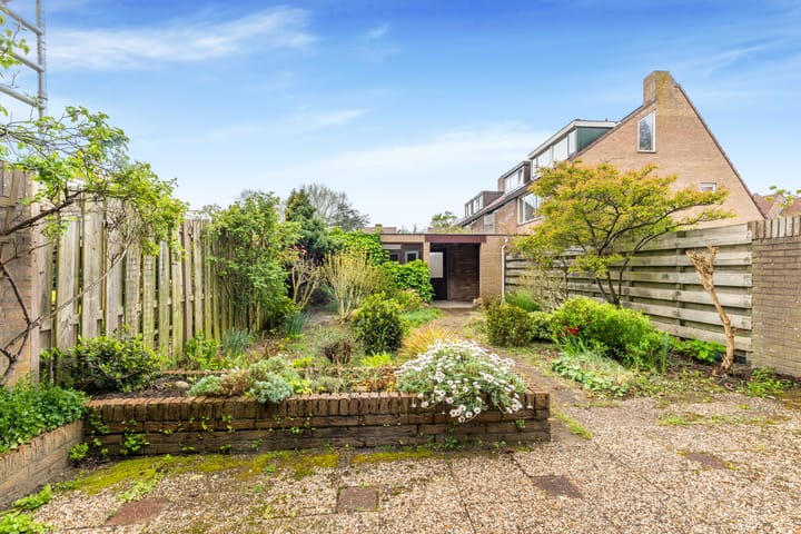 Foto 45 van Vleugeltjesbloem 16