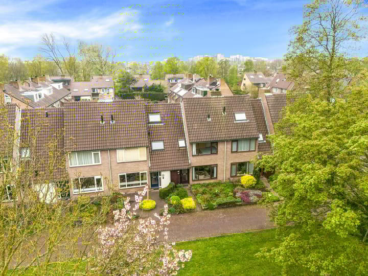 Foto 46 van Vleugeltjesbloem 16